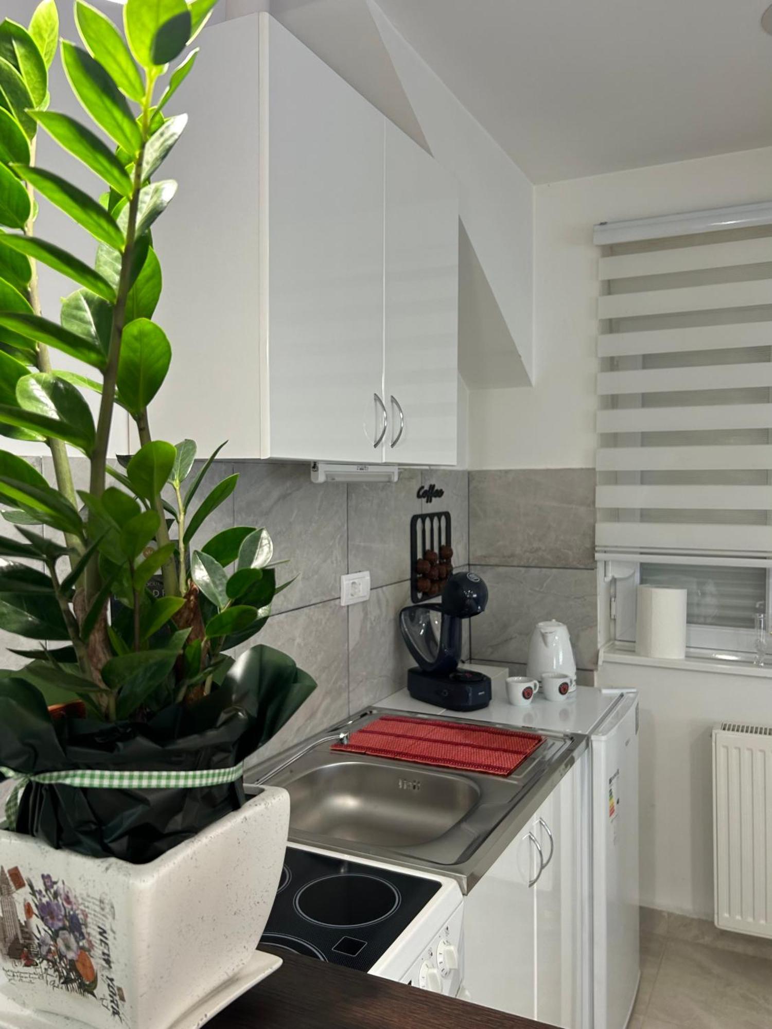 Apartman Diamond Lux Surcin Exterior photo